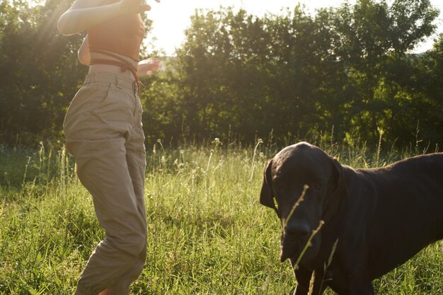 Photo un cheval debout dans un champ