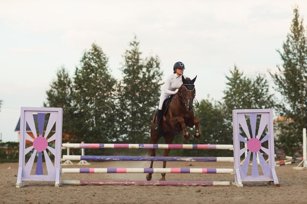 Photo cheval de dressage et cavalier en uniforme lors d'une compétition de saut équestre