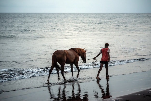 Cheval et jeune garçon sur la plage de sable en cours d'exécution près de l'eau au coucher du soleil