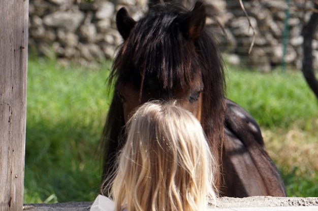 Photo cheval poney brun et jeune fille blonde