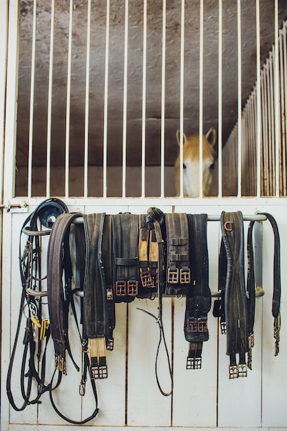 Un cheval de selles en cuir dans une écurie