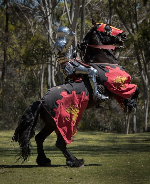 Photo chevalier sur un cheval noir portant un caparaçon noir et rouge