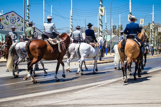 Photo les chevaux sur la route