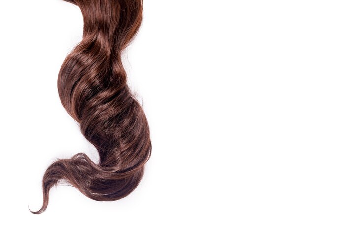Photo cheveux bruns bouclés isolés sur fond blanc. belle longue mèche de cheveux brun chocolat en bonne santé, coupe de cheveux, coiffure. cheveux teints ou coloration, extension de cheveux, cure, concept de traitement.