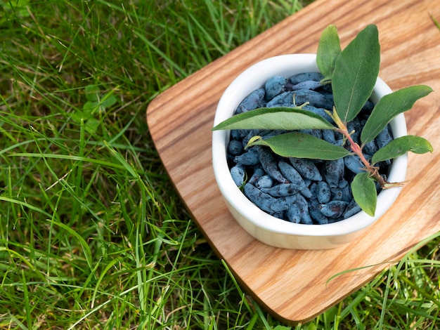 Chèvrefeuille mûr dans le bol en céramique blanche sur l'herbe Petit-déjeuner plein de vitamines