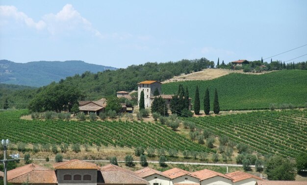 Le Chianti en Toscane