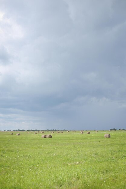 Chic paysage d'été chaud beau fond