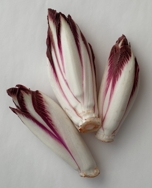 Chicorée rouge fraîche sur fond blanc