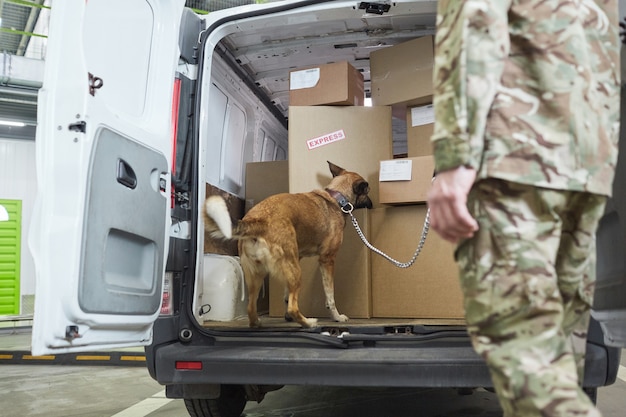 Chien de berger militaire vérifiant des boîtes en carton dans le camion avec un militaire