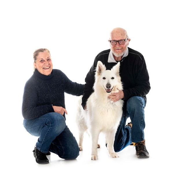 Chien de berger suisse blanc