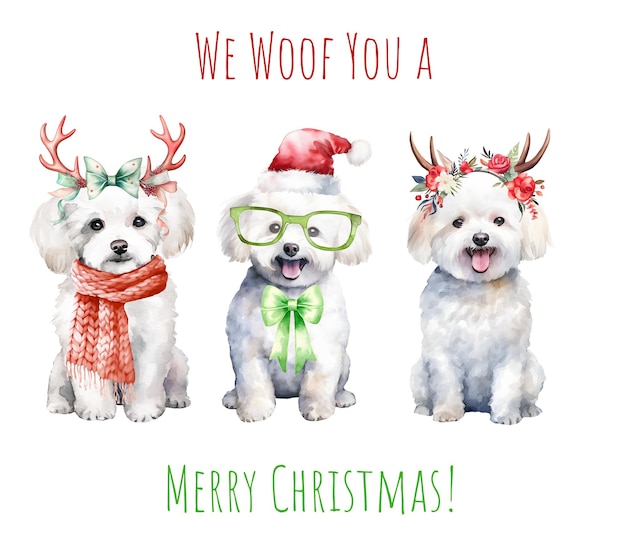 Chien de bichon de Noël aquarelle chien mignon de Noël en chapeau cravate et arc joyeux Noël bichon