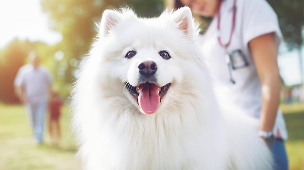 Un chien blanc et moelleux satisfait est conduit par un vétérinaire à travers une clairière ensoleillée pour rencontrer le propriétaire.