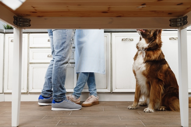 Chien border collie assis aux pieds du couple de propriétaires