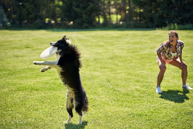 chien border collie et une femme sur un terrain d'agilité