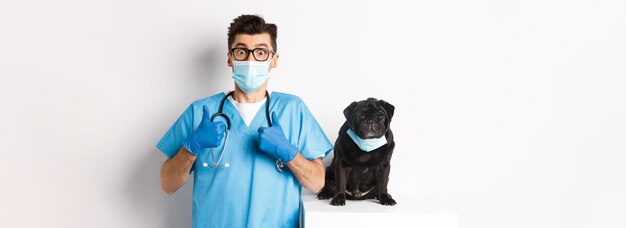 Chien carlin noir drôle portant un masque médical assis près d'un beau médecin vétérinaire montrant le pouce levé