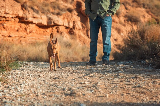 Photo chien de chasse avec son propriétaire