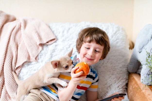 Un chien chihuahua lèche le petit visage d'un enfant riant sur un canapé avec une couverture portrait d'un heureux caucasien