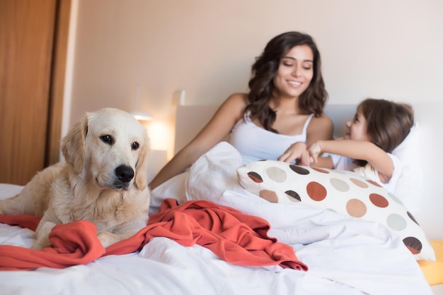 Chien chiot Golden Retriever dans le lit avec la famille humaine - Focus sur le chien