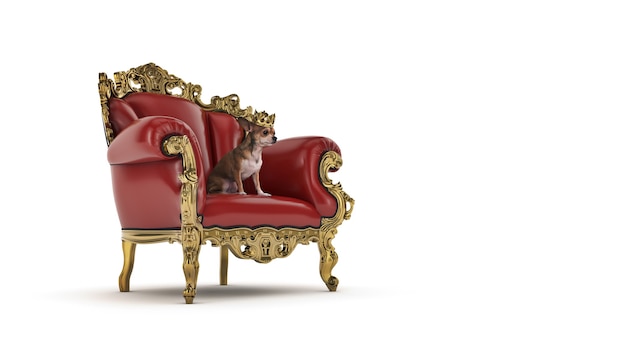 Photo chien avec couronne dans une chaise rendu 3d