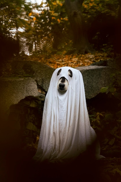 Photo chien dans un costume de fantôme halloween concept