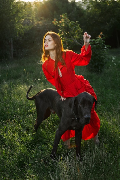 Photo un chien debout sur un champ herbeux