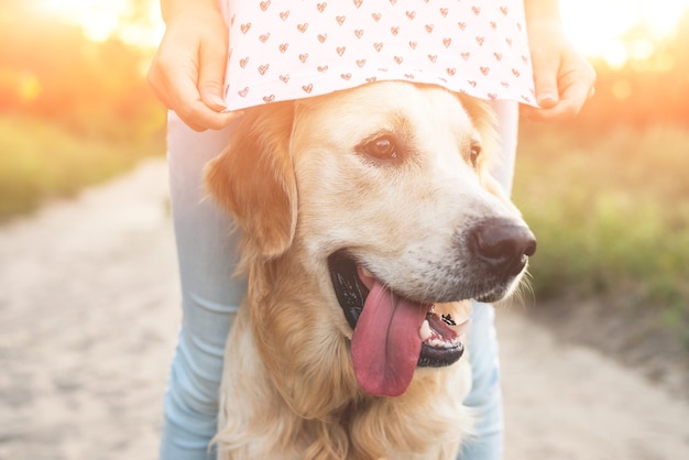 Chien Golden retriever avec une fille sur la nature en été