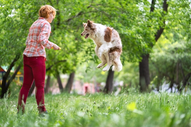 Un chien hirsute attrape un disque en sautant