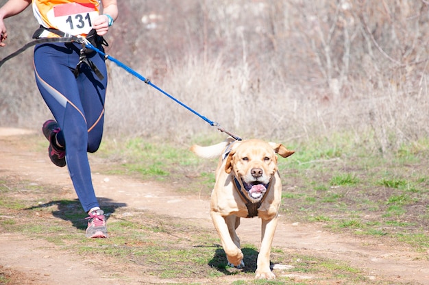 Chien et homme participant à une course populaire de canicross