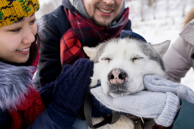 Chien Husky appréciant les frottements