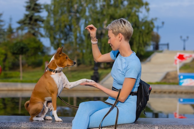 Chien intelligent formé prenant de la nourriture de l'homme