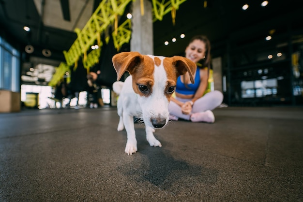 Chien jack russell mignon dans une salle de sport avec sa femme propriétaire