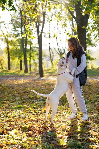 Le chien joue avec la maîtresse dans le parc Gros plan d'une femme dans une veste et un chien bouledogue américain jouant parmi les feuilles d'automne jaunes dans le parc