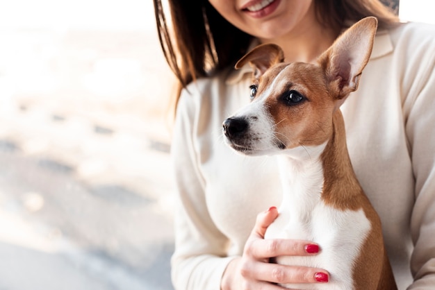 Chien Mignon Détenu Par Une Femme Souriante