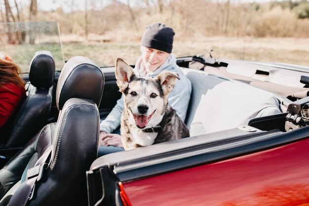 chien mignon voyageant en voiture décapotable