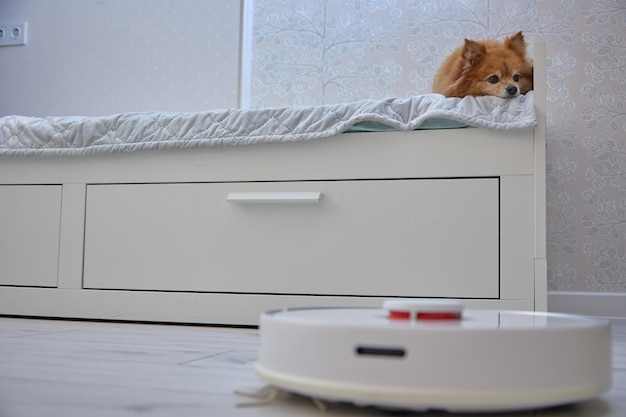 Un chien moelleux repose sur le lit pendant qu'un robot aspirateur nettoie le sol