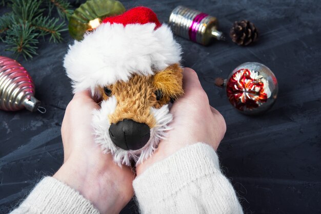 Chien de Noël symbolique de vacances