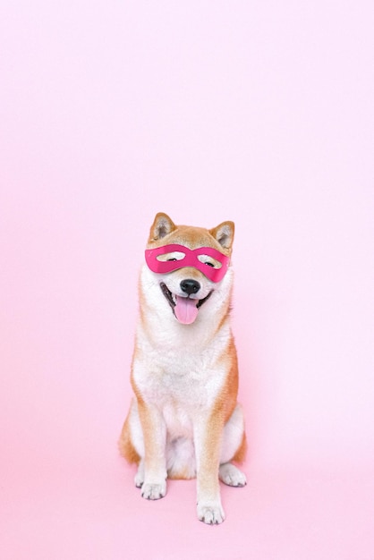 un chien portant un masque avec un masque rose dessus