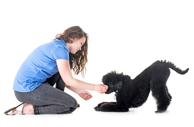 Chien, Propriétaire Et Obéissance