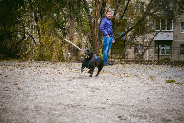 Photo un chien qui court vers un jeune homme dans le parc.