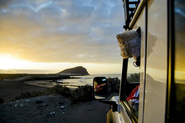 Photo un chien regardant à travers la fenêtre d'un véhicule utilitaire sportif au coucher du soleil