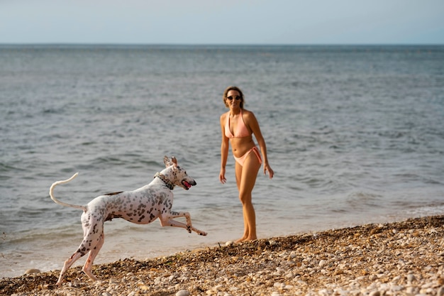 Chien s'amusant à la plage