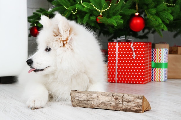 Chien Samoyède ludique avec bois de chauffage avec arbre de Noël sur