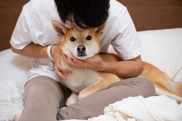 Chien shiba inu se détendre au lit