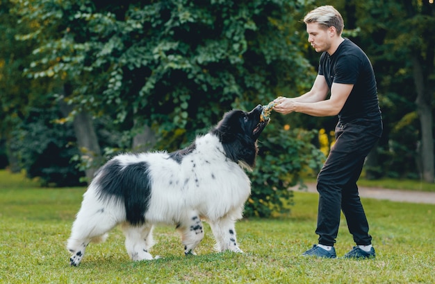 Chien Terre-Neuve joue avec l'homme et la femme dans le parc