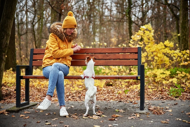 Chien terrier Jack Russell avec propriétaire marchant dans le parc d'automne reposant sur un banc Concept de soins pour animaux de compagnie