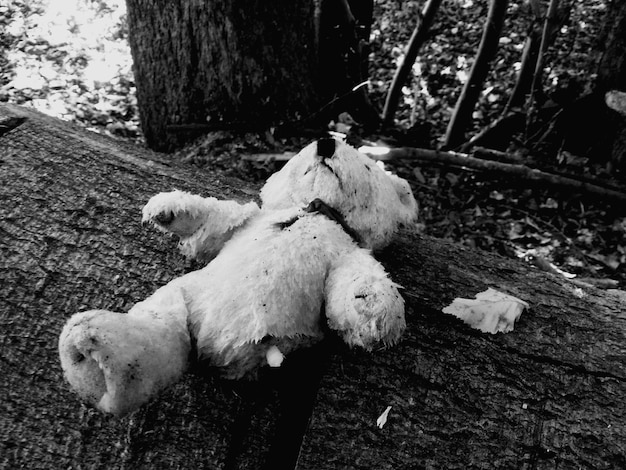 Photo un chien sur un tronc d'arbre