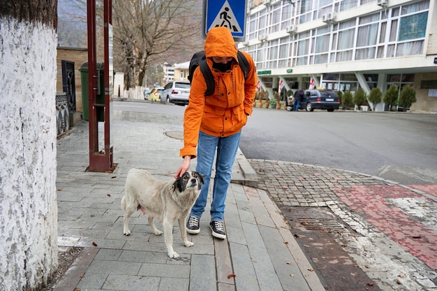 Les chiens errants demandent l'attention des gens dans la rue.
