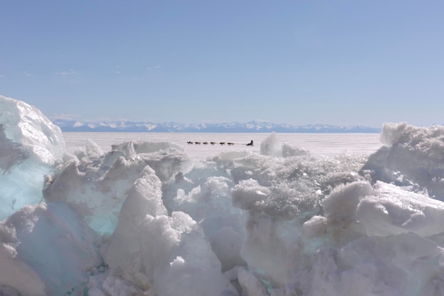 Les chiens de traîneau courent sur le lac gelé