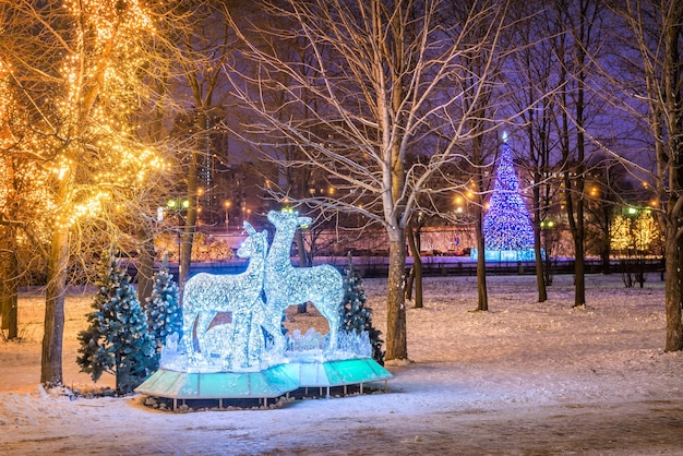 Chiffres rougeoyants de fête des cerfs communs et un arbre de Noël parmi les arbres en parc de Rostokinsky à Moscou