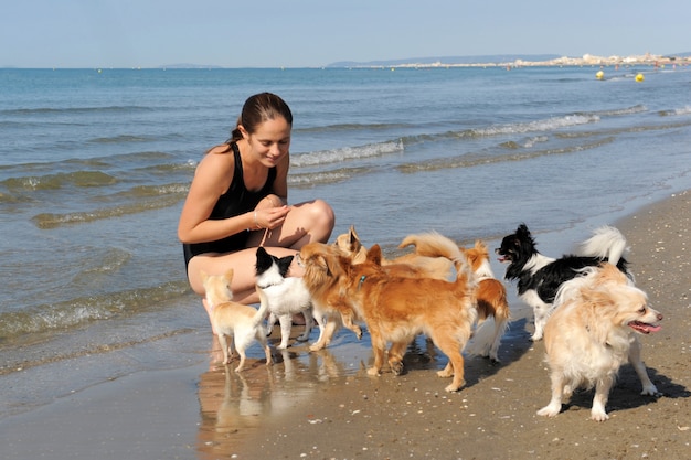 Chihuahuas et femme sur la plage